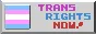 Trans Rights Now